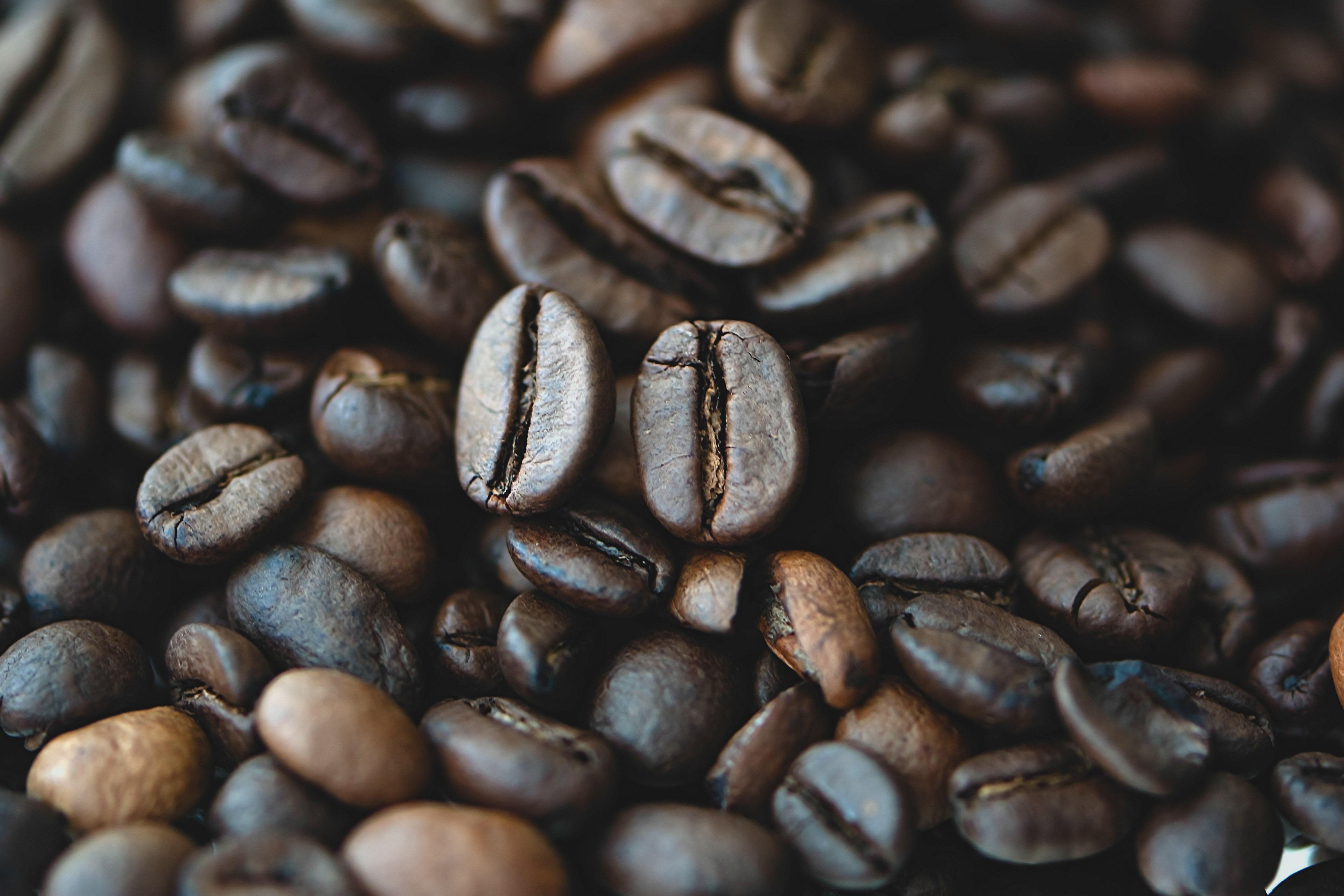 Savanna's Coffee House logo